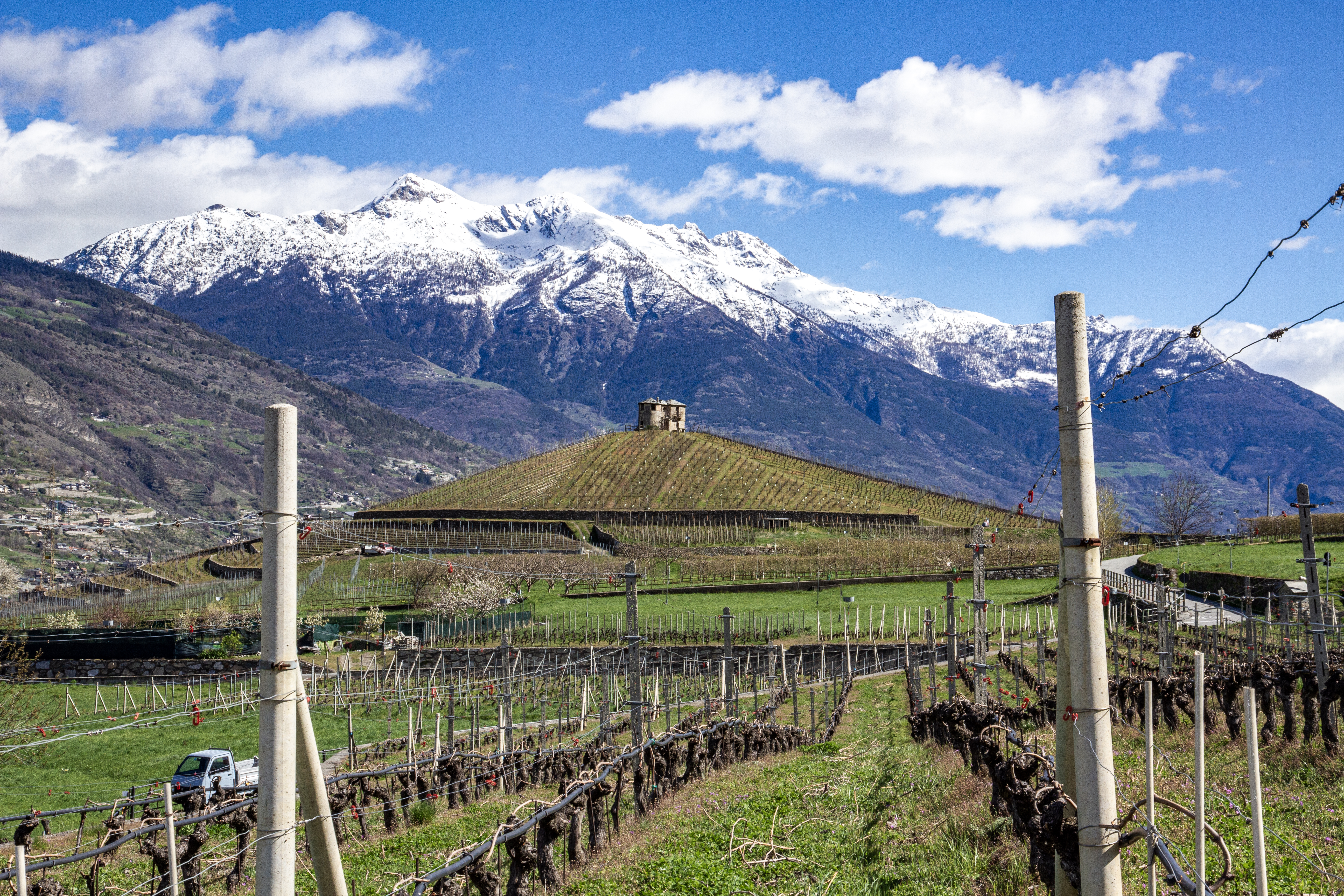 Côteau la Tour Experience degustazione img