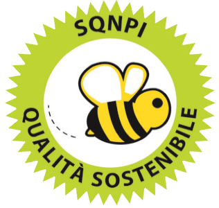 sqnpi logo