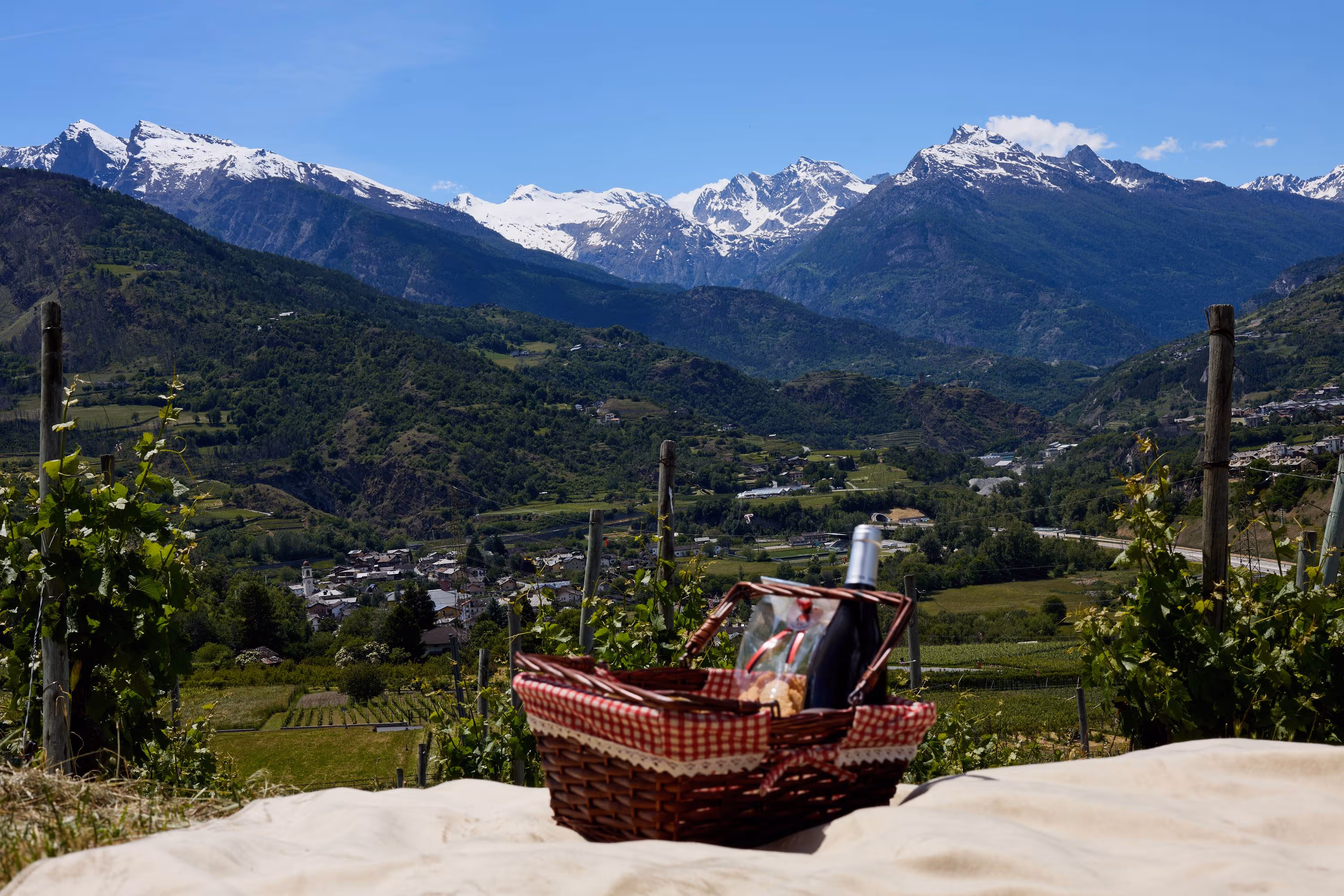 Picnic at the Côteau